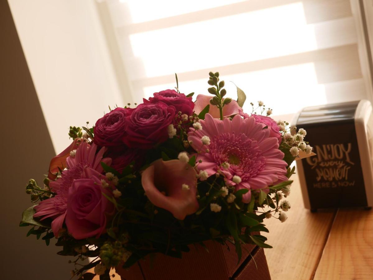 La Loveroom De L'artois